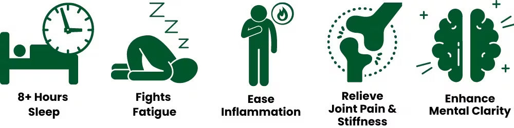 Rated 4.9/5 by 9350+ customers